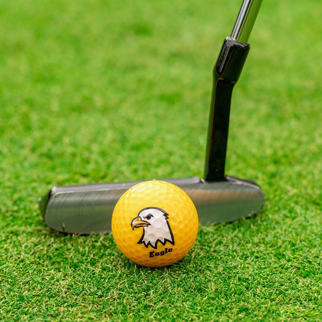 Longridge Under Par Balls 6Pk